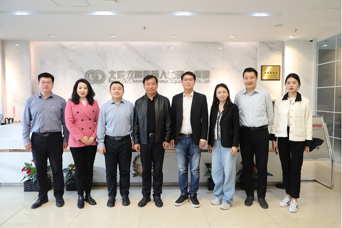 菜鸟无忧与国家电网,双高集团组织架构