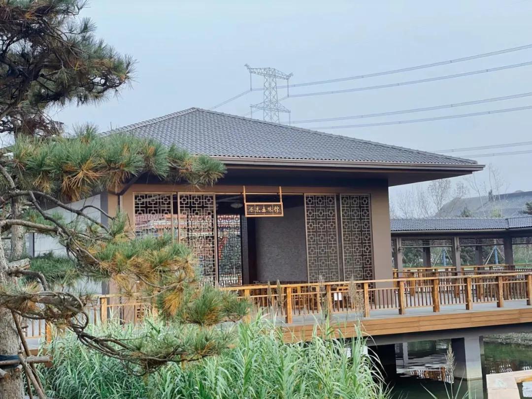 弘扬中医药文化共享品质健康生活,赓续中医药文化