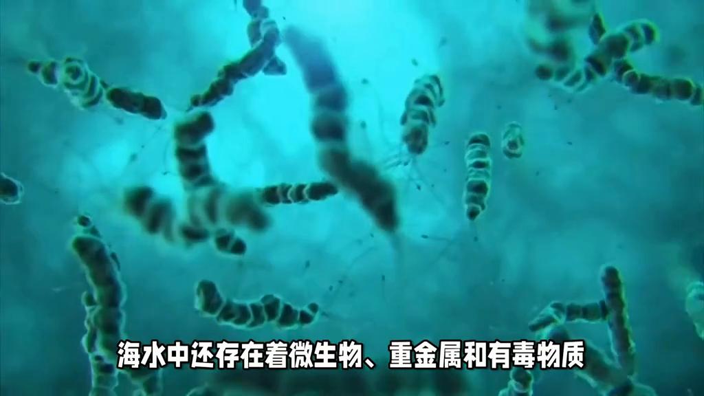 海水喝了会发生什么,喝了海水会怎样