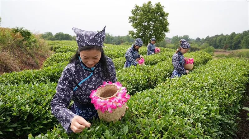 黄金村来历,黄金乡什么来历