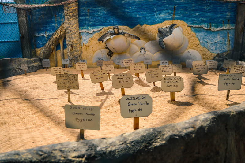 斯里兰卡旅游攻略必去景点,斯里兰卡最佳旅游攻略