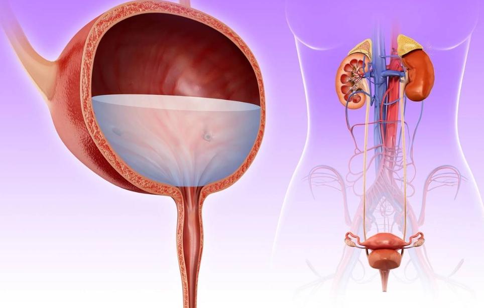 女性洗澡时喜欢“站着尿尿”？4个生理常识，或许对你有益