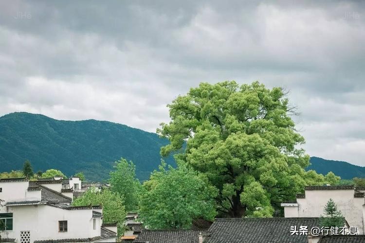 青山诗词经典赏析,关于描写青山的诗句古诗