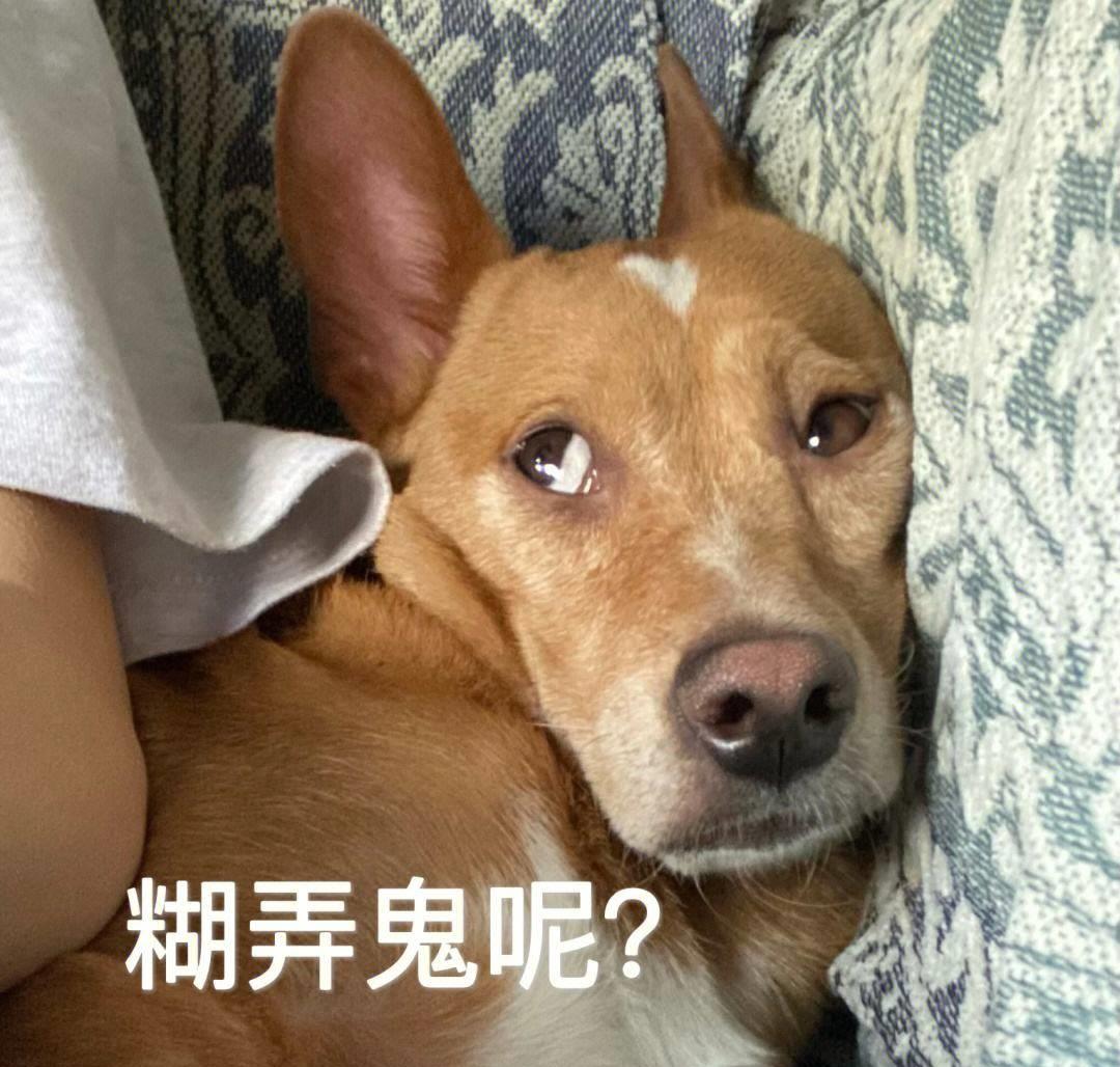 笑话十条:我弟读初中,他老抱怨自己脚臭