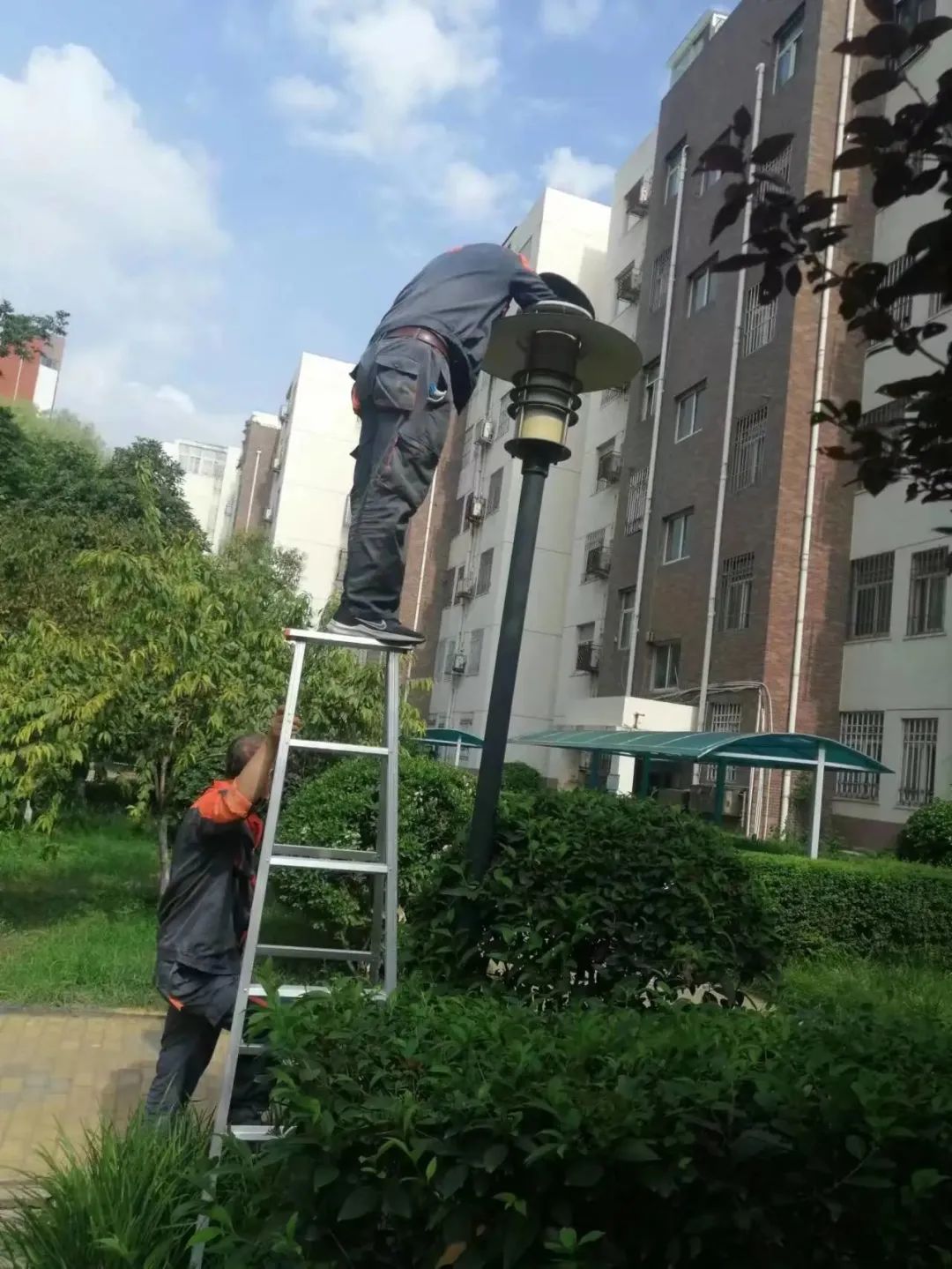 亚新物业发展趋势,亚新物业最新现状