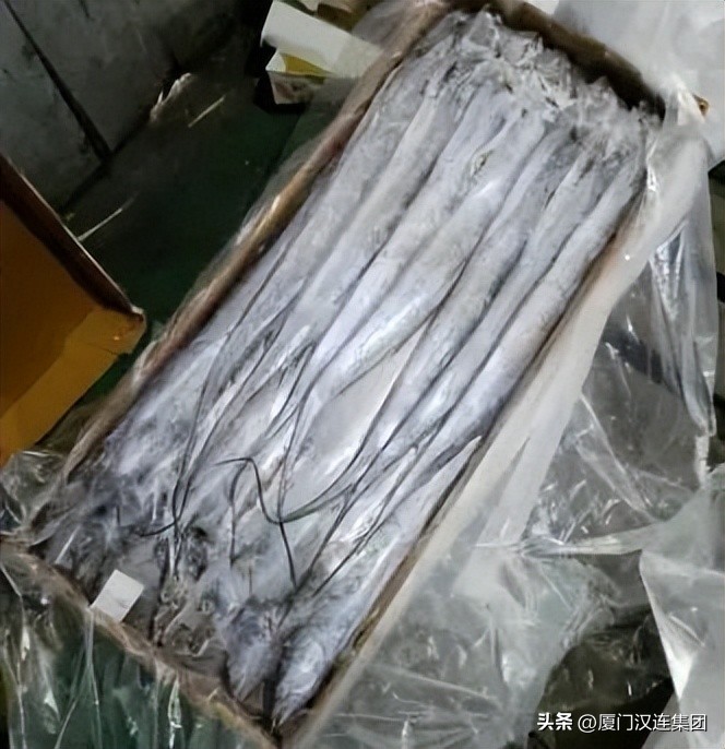 进口水产品中文标签无批次号 (解读进口水产外箱标签)