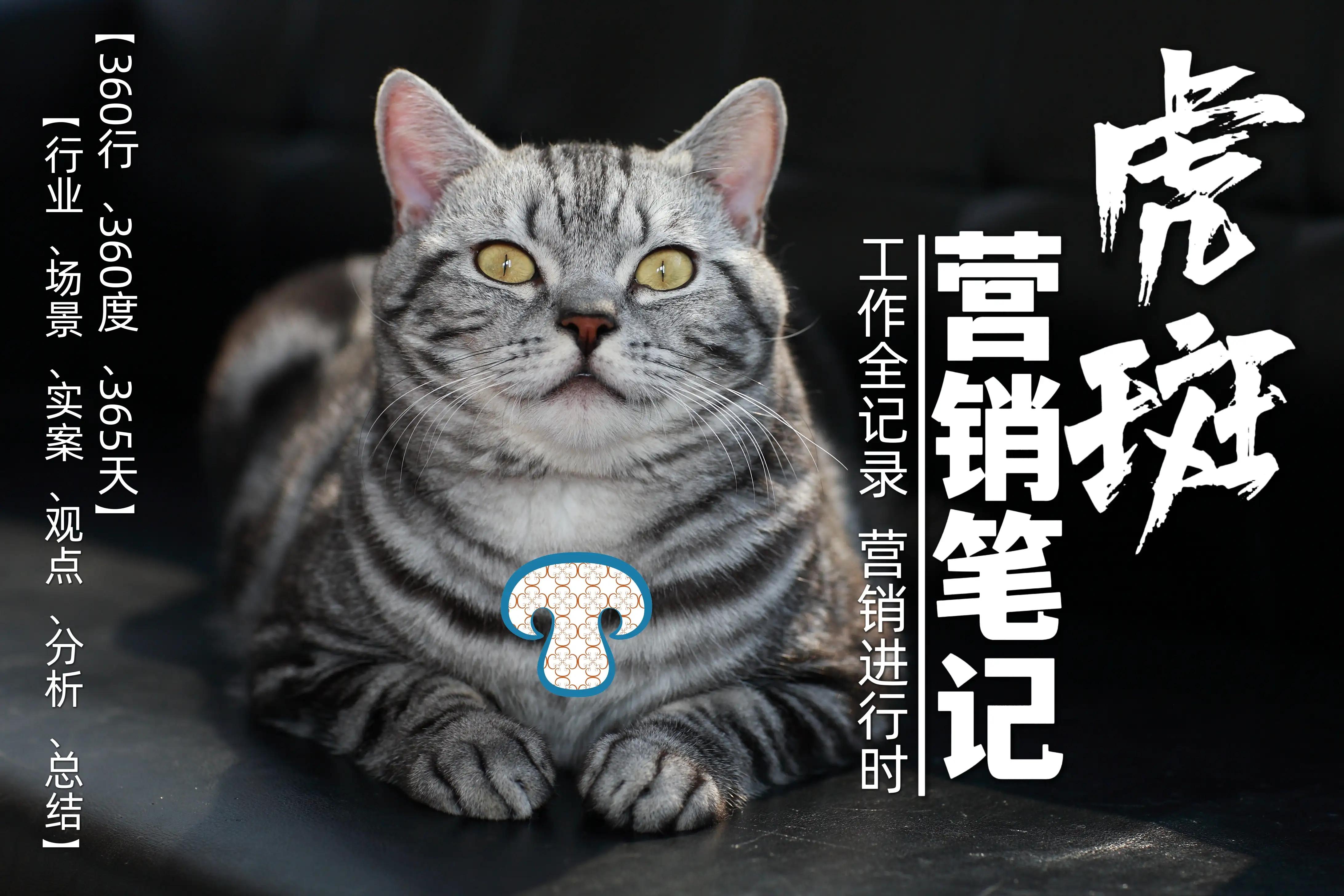 《虎斑营销笔记》第105页“线上招商的小技巧”