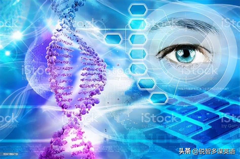 哈佛大学官网中文版,哈佛大学中英文双语