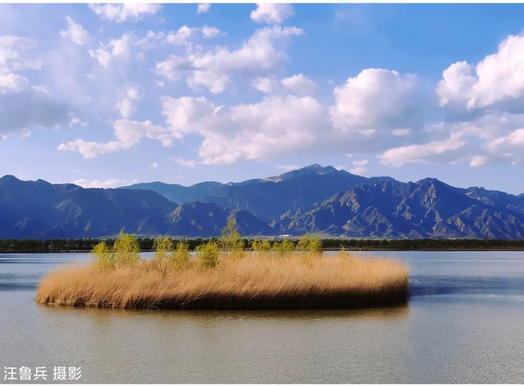 足不出沪也体会假期的快乐,足不出门也能享受大自然的美