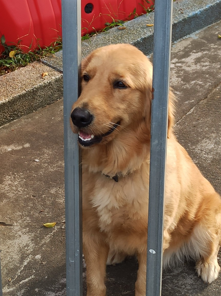 白云山适合徒步吗,一路徒步上白云山