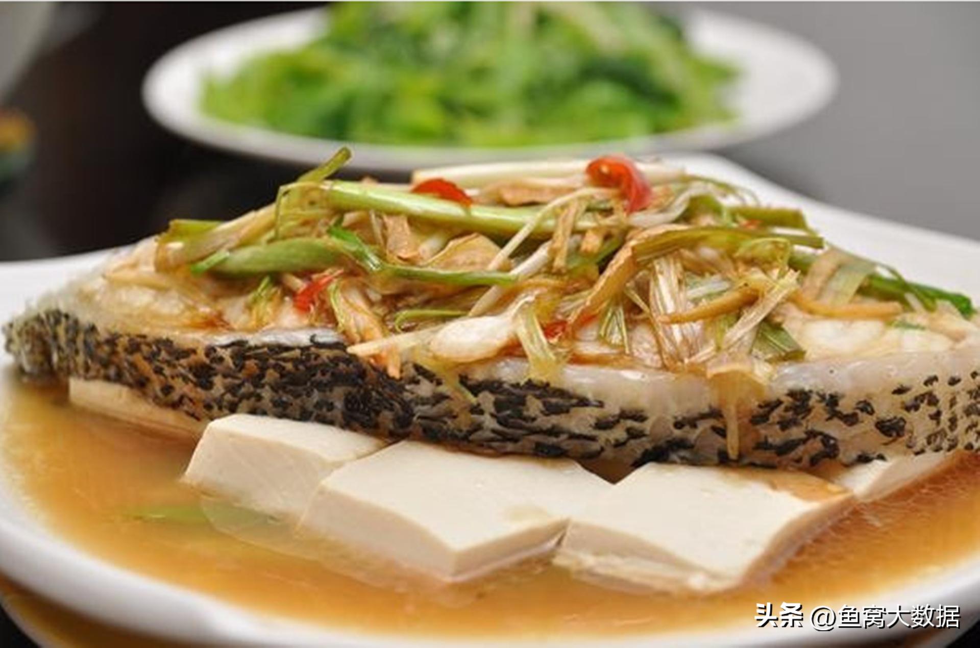 广东活溪石斑鱼多少钱一斤,湛江石斑鱼多少钱一斤