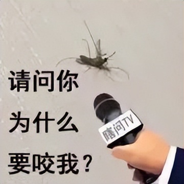 为什么广东春夏秋冬都有蚊子,广东蚊子最怕的地方