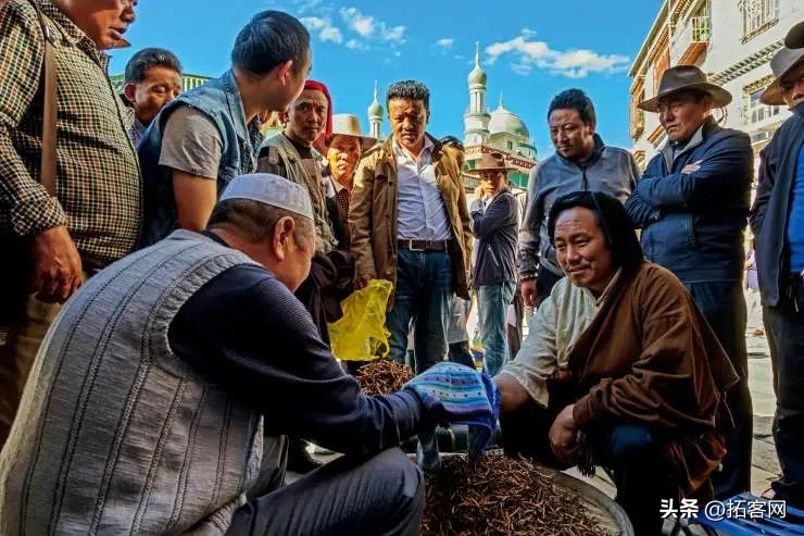 季芳桐:回族文化的根本性特征