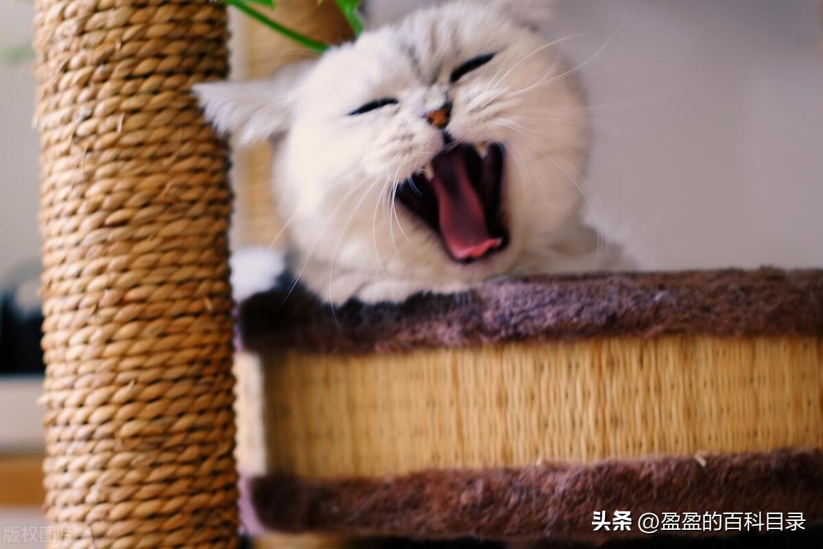 夏天犯困怎么提精神,夏天犯困一招解决