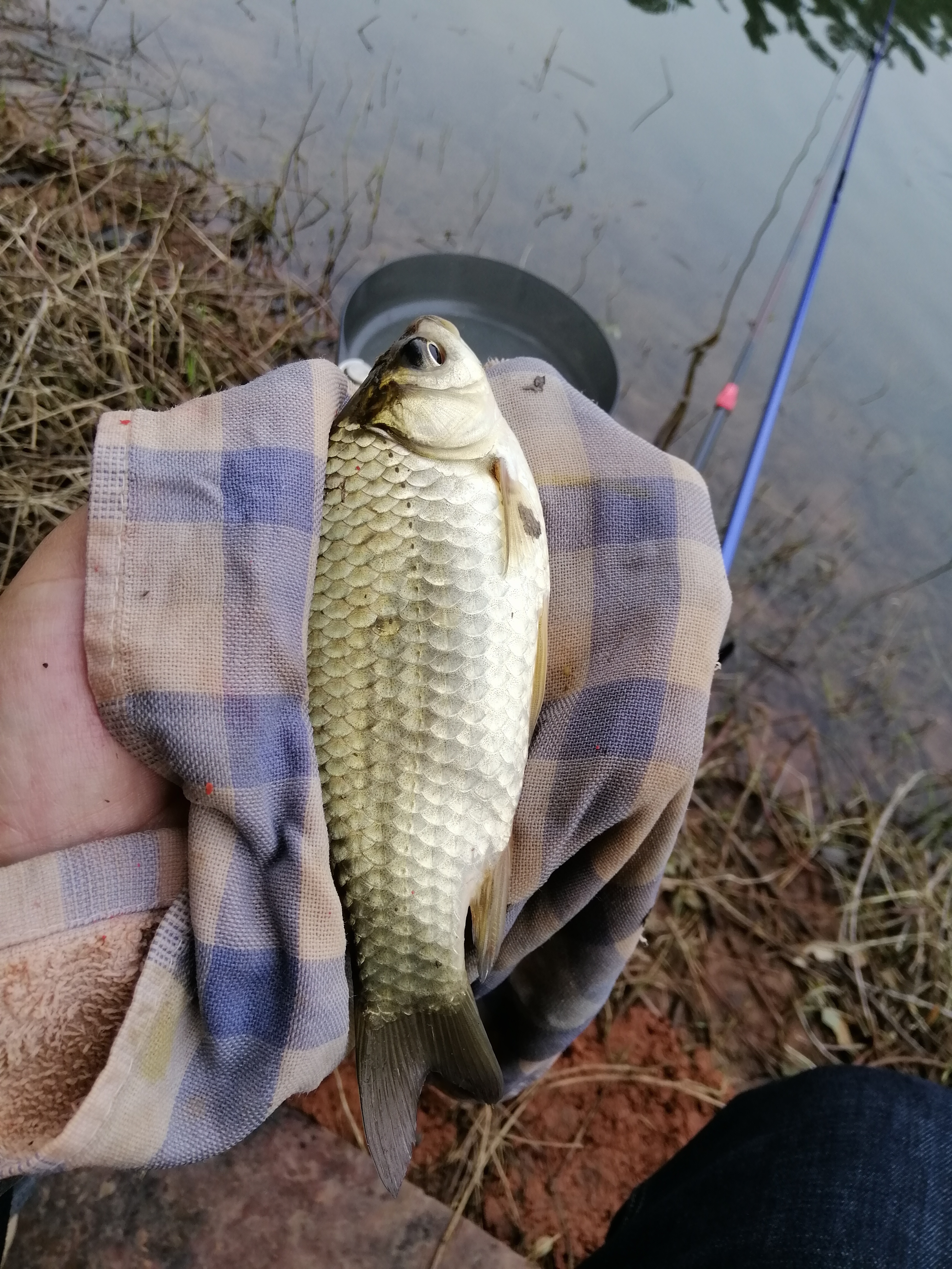 初春挑战攻略,初春挑战什么时候有