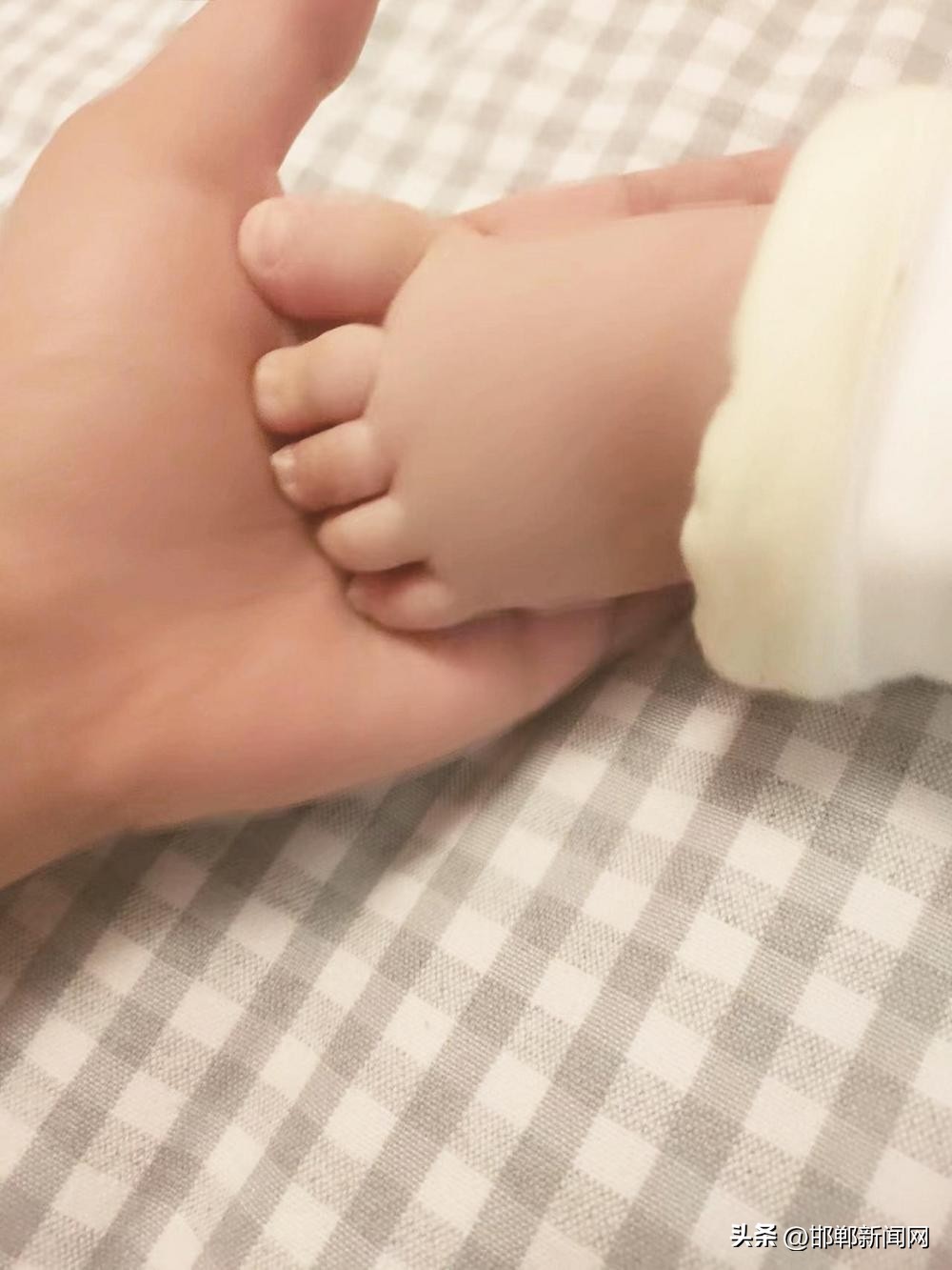 过年回家，最好的春节礼物是……