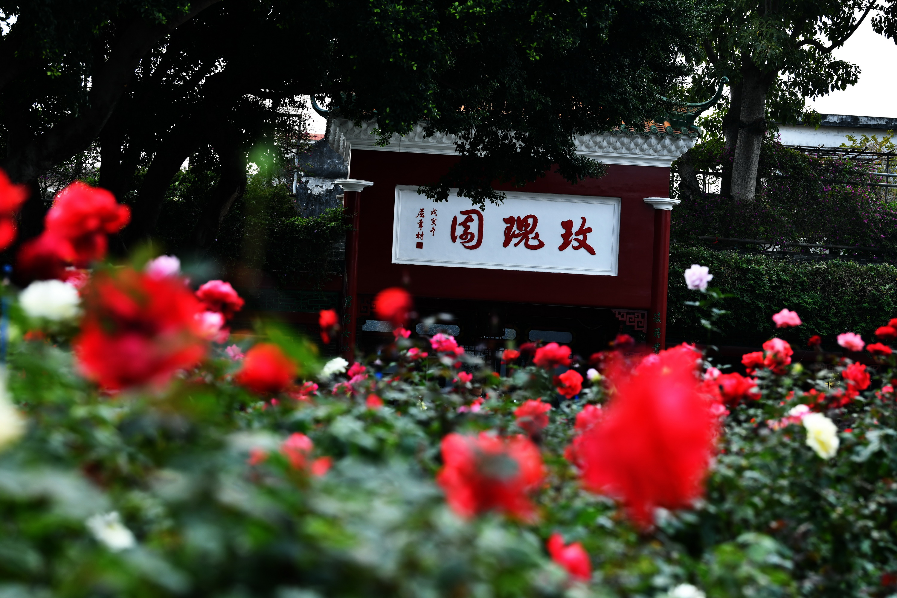 广州市番禺区宝墨园攻略,广州宝墨园景观