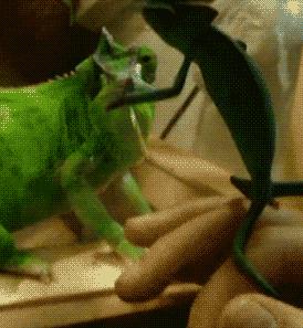 穿泳衣还可以穿内衣吗,穿泳衣和穿内衣有什么不同