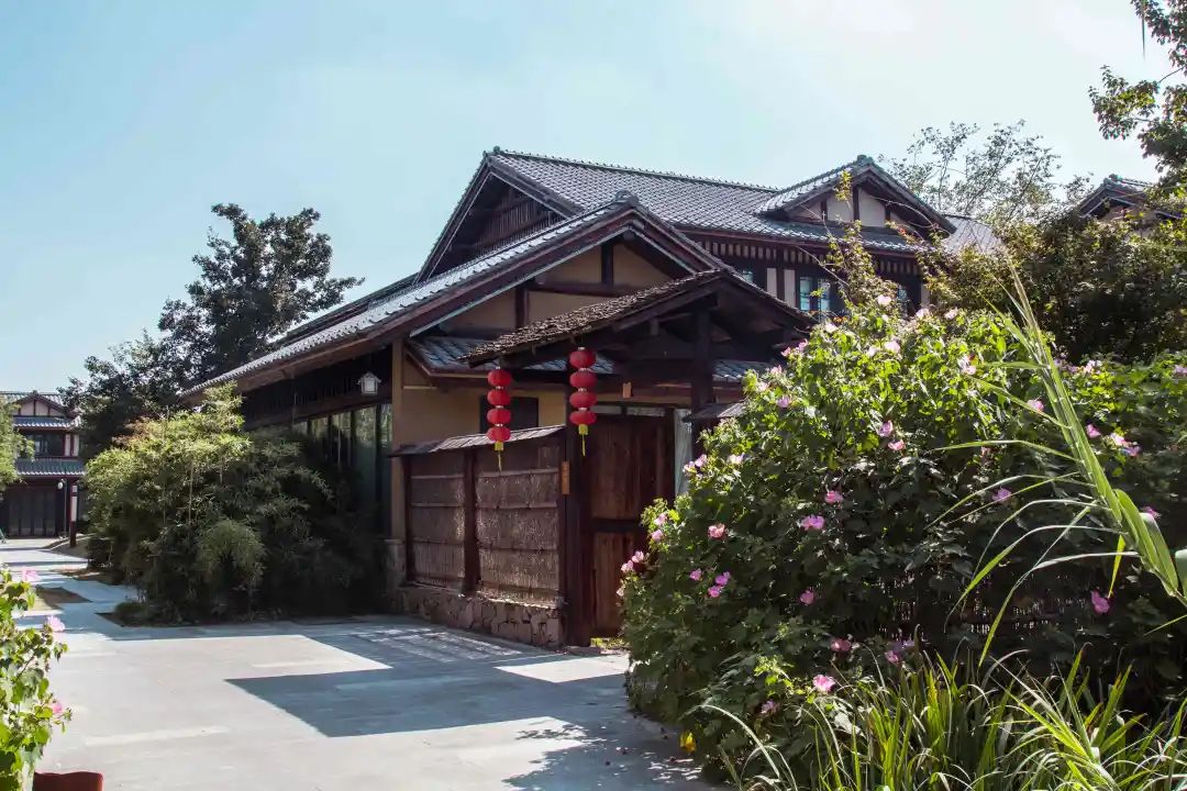 丝绸小镇最新招聘信息,高县丝绸产业园最新招聘