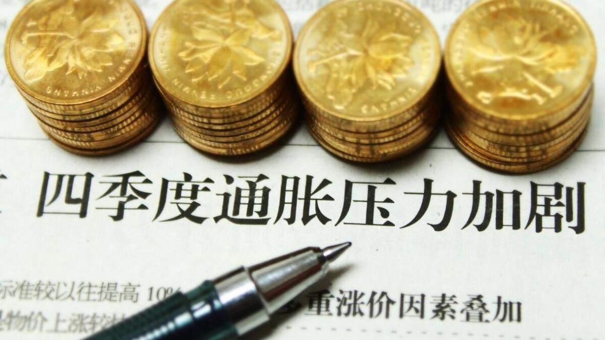 国家建立基本养老金调节机制,养老金制度设计原则