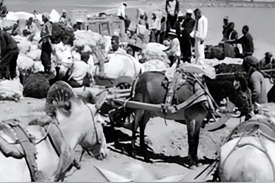 旅蒙商号大盛魁(十一)—大盛魁的营业状况(丁)皮毛药材(上)