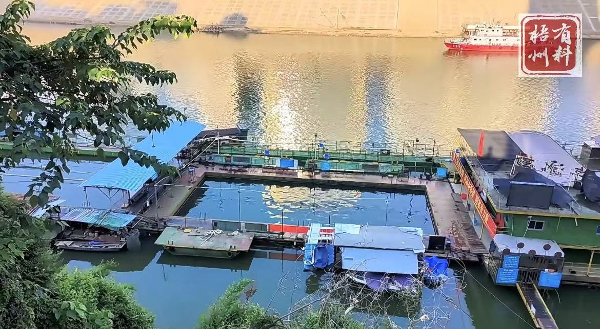 水深危险切勿野泳,梧州哪里适合游野泳