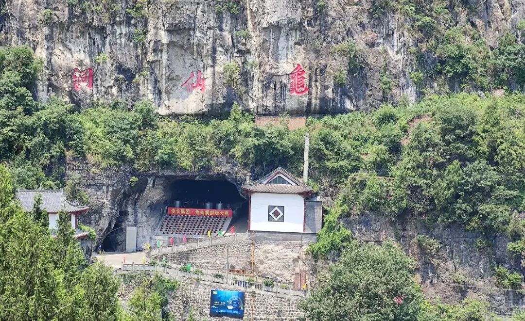 国帅龟仙洞价格,国帅龟仙洞酒多少钱