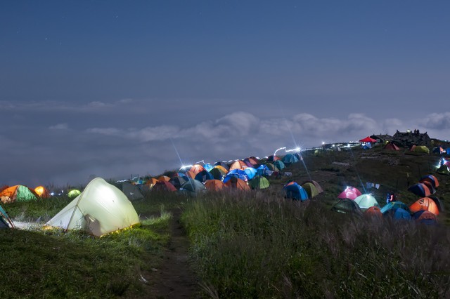 夜初棠封辰熠免费全文阅读,夜初棠封辰熠的小说免费