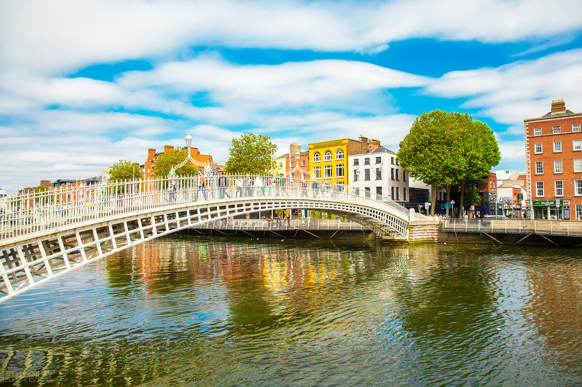 北爱尔兰vs新西兰,北爱尔兰对新西兰谁能赢