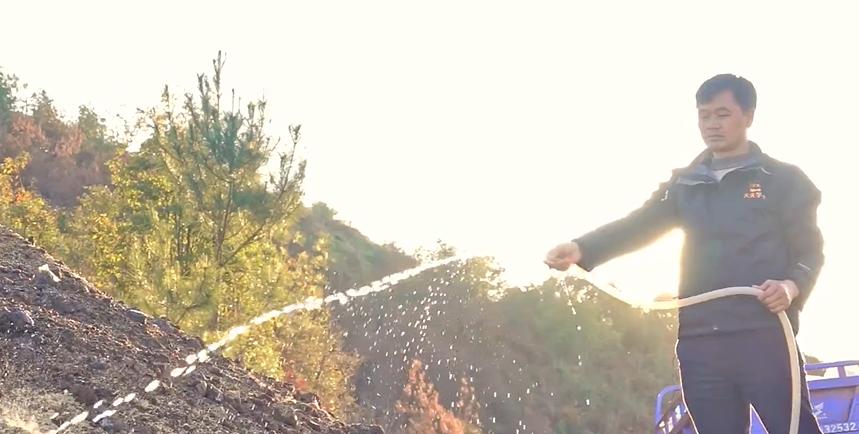 果树施肥有奇招，晚熟杂柑的“3+2施肥方案”，年年丰产不用愁