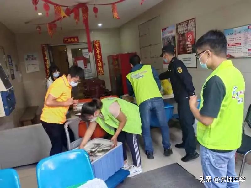 龙翔街道：以我微光耀我中华