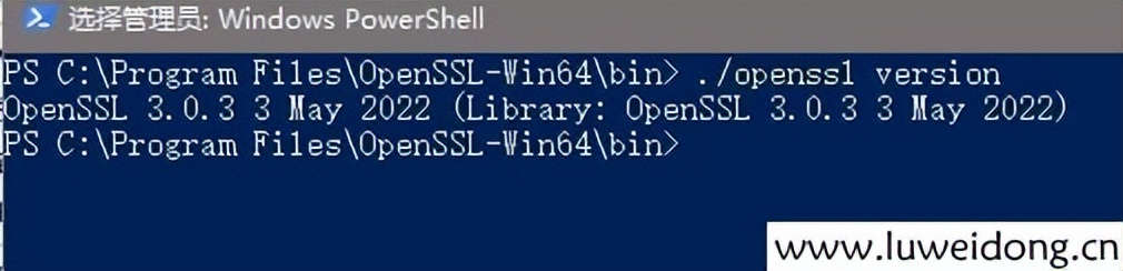 openssl提取公钥,windows开启ssh