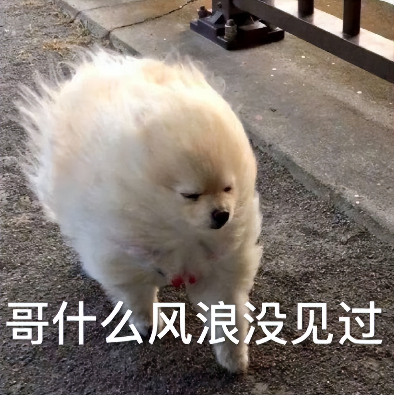 耐克cr足球,耐克足球推荐热门