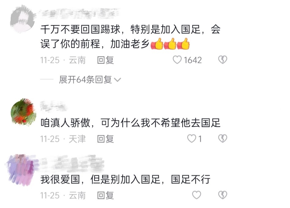 世界杯护旗手,2022年世界杯护旗手