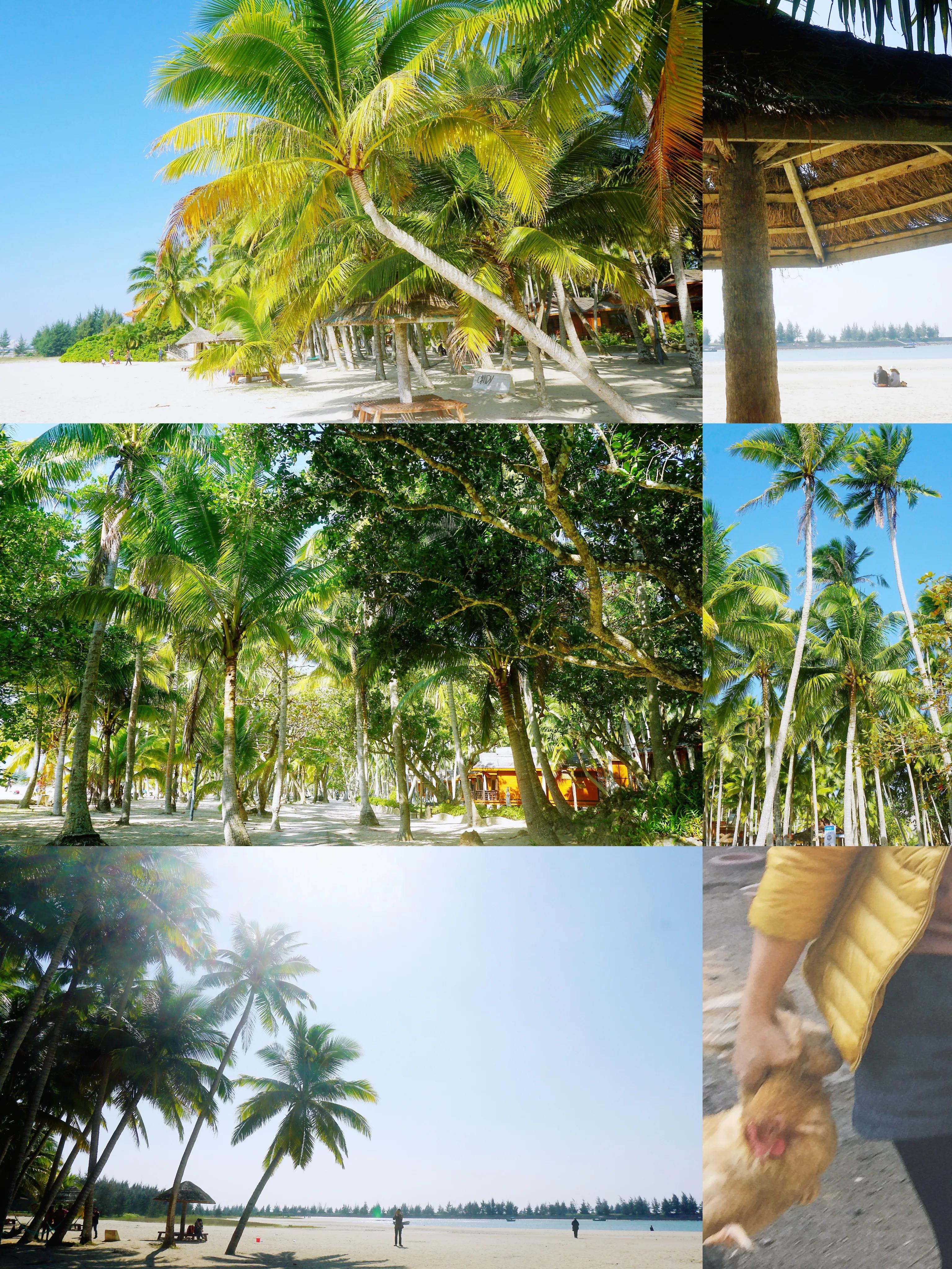 15天环海南岛自由行攻略,环海南岛旅行路线