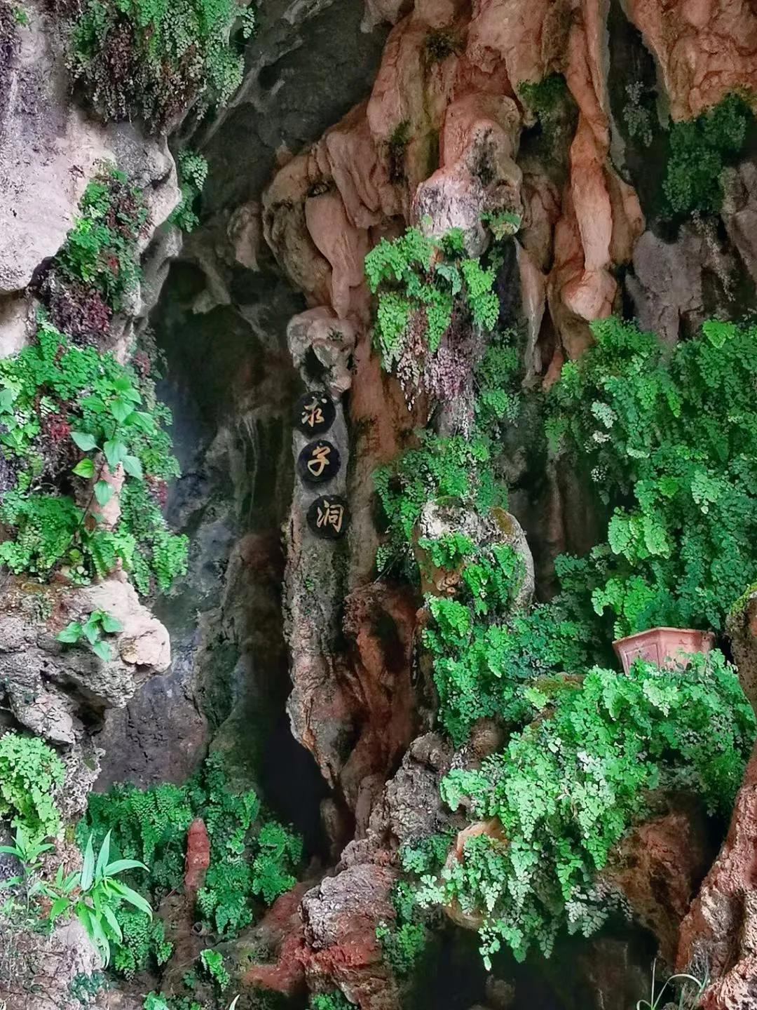 丽江观音峡旅游攻略,丽江观音峡的优美句子