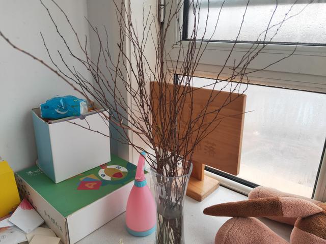 网红干树枝,网红水培干枝树