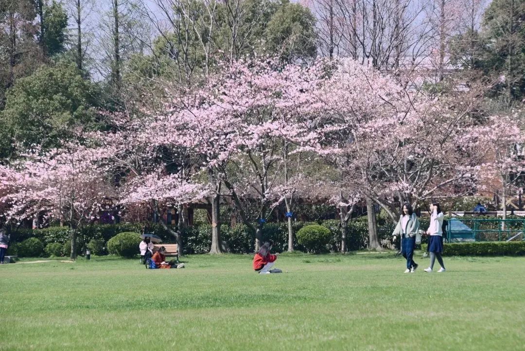 阔别1136天，你需要这份攻略～