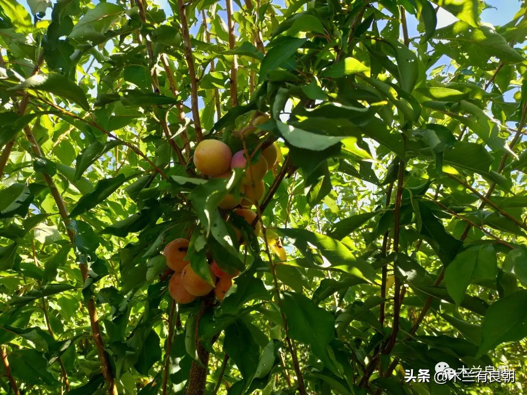 疫情虽然可怕但是我们永不畏惧,疫情依然不容小视