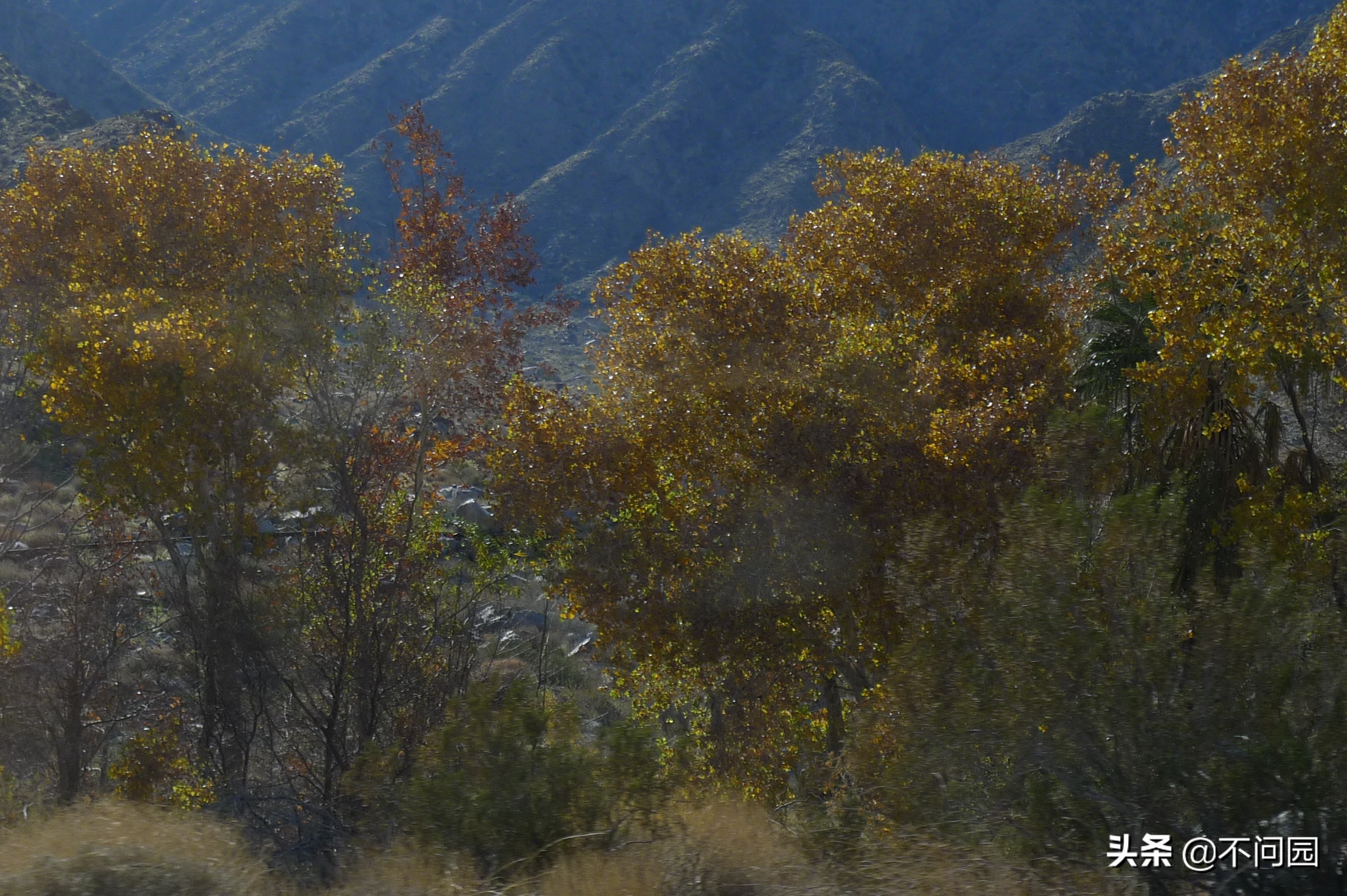 棕榈泉缆车,美国加州棕榈泉缆车