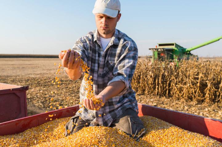 发达国家对农业多实行财政补贴,发达国家对农业的政策