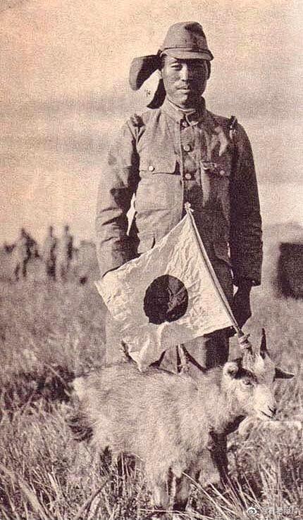 娓呭绉樺彶鍥剧墖澶у叏,娓呬唬鍘嗗彶鐝嶈吹褰卞儚