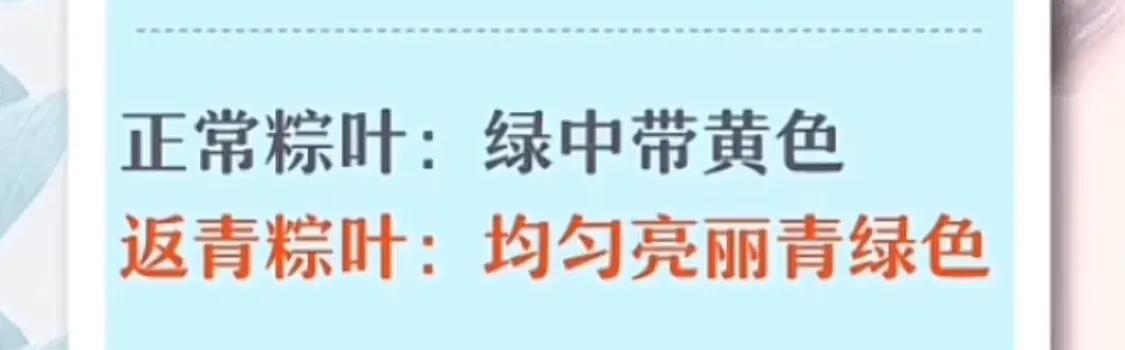 辐射果冻后又来毒粽叶食品安全百花齐放