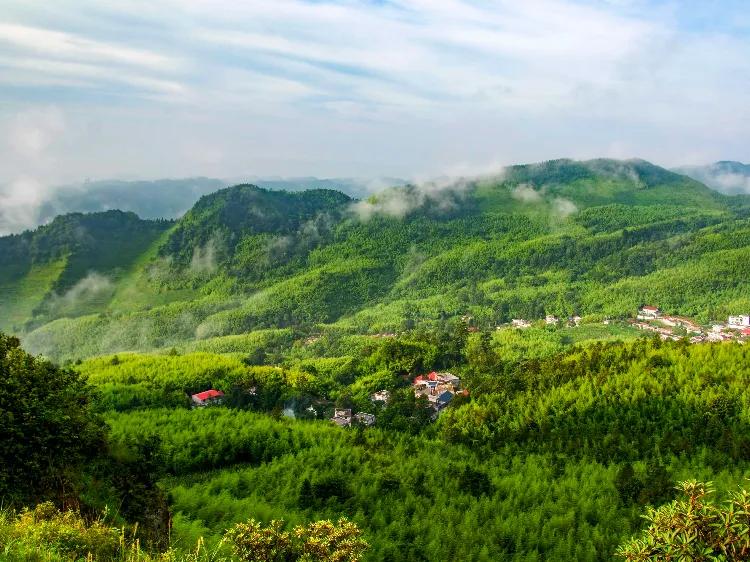 中国十大竹海排名,中国十大竹海之都