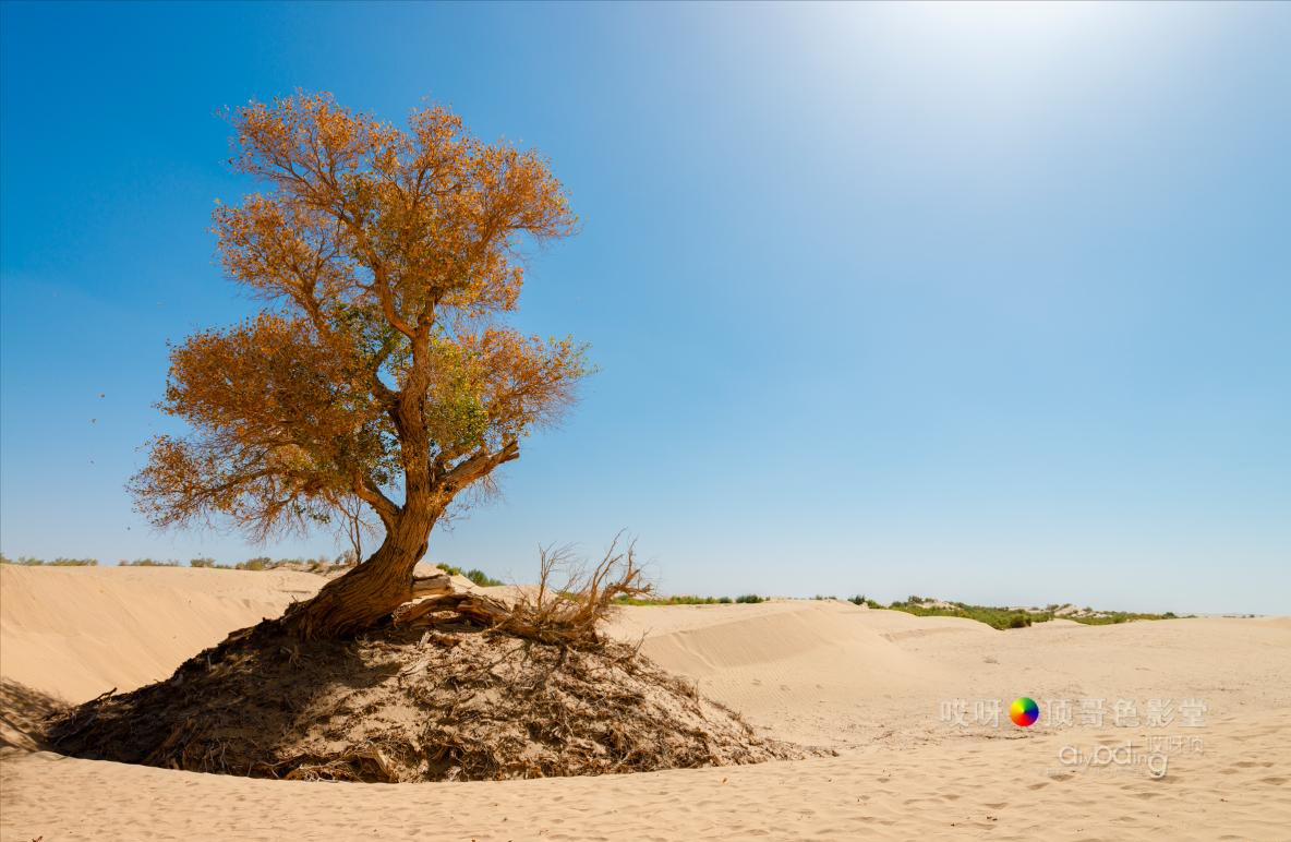 女司机带娃去新疆自驾游,带着女司机自驾游兰州