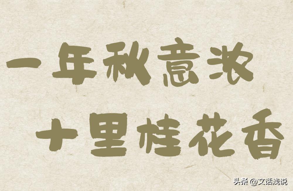 江苏秋天必吃的桂花美食,十月桂花香这些桂花美食你吃过吗