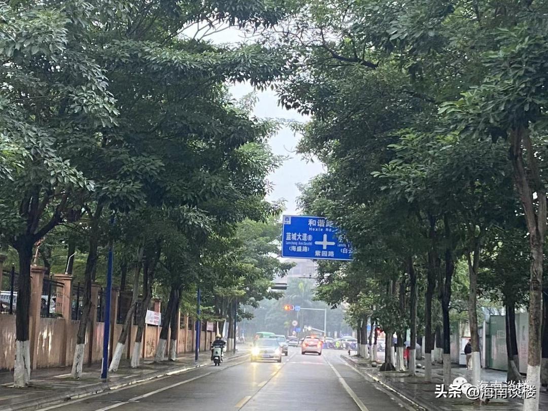 手头没多少钱该不该买房,海口长信上东城多少钱一平