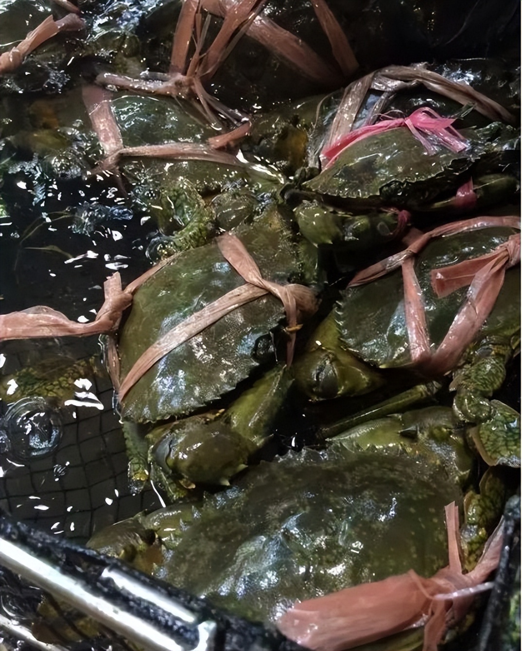 香港海鲜市场生猛海鲜,香港最大水产品市场