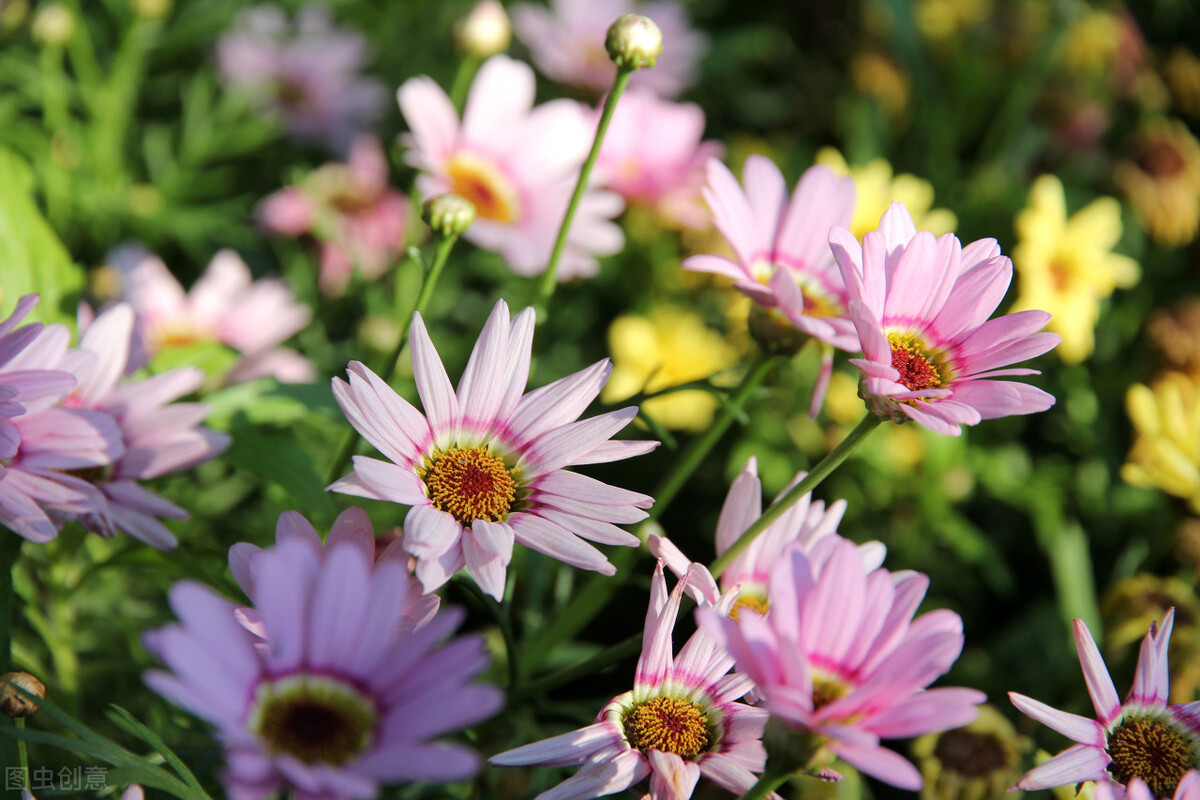 人生感悟文案短句干净治愈,微信个性签名文案短句干净治愈