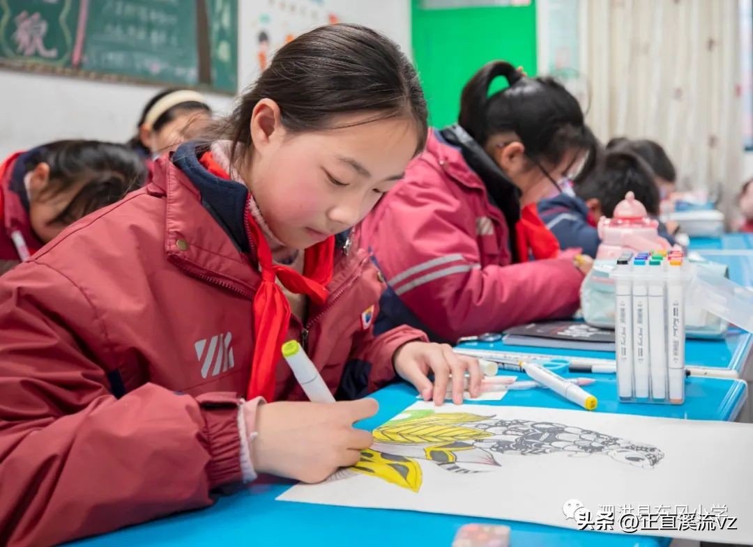 小学艺术教育社团活动记录,泗洪县第十七届小学艺术展演